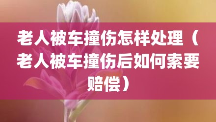 老人被车撞伤怎样处理(老人被车撞伤后如何索要赔偿)