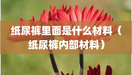 纸尿裤里面是什么材料(纸尿裤内部材料)