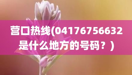 营口热线(04176756632是什么地方的号码？)