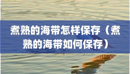 煮熟的海带怎样保存（煮熟的海带如何保存）