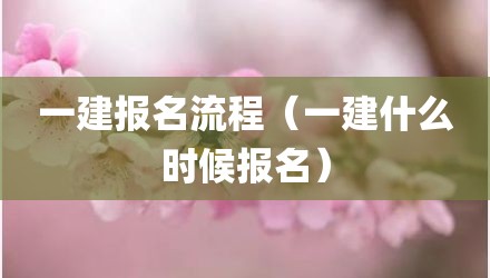 一建报名流程（一建什么时候报名）