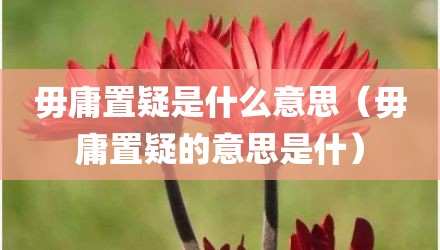 毋庸置疑是什么意思(毋庸置疑的意思是什)