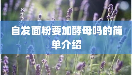 自发面粉要加酵母吗的简单介绍
