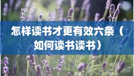 怎样读书才更有效六条（如何读书读书）