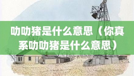 叻叻猪是什么意思（你真系叻叻猪是什么意思）