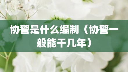 协警是什么编制（协警一般能干几年）