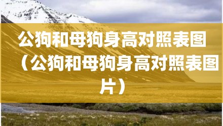 公狗和母狗身高对照表图（公狗和母狗身高对照表图片）