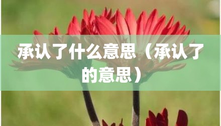 承认了什么意思（承认了的意思）