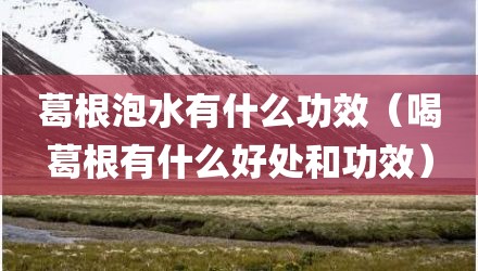 葛根泡水有什么功效（喝葛根有什么好处和功效）