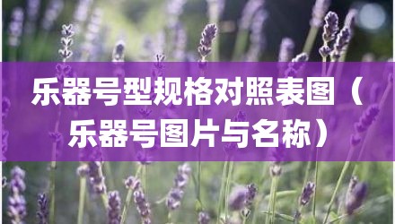乐器号型规格对照表图（乐器号图片与名称）