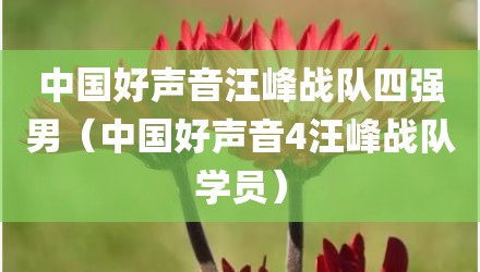 中国好声音汪峰战队四强男（中国好声音4汪峰战队学员）