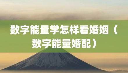 数字能量学怎样看婚姻（数字能量婚配）