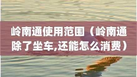 岭南通使用范围（岭南通除了坐车,还能怎么消费）
