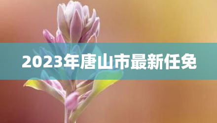 2023年唐山市最新任免