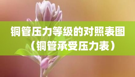 铜管压力等级的对照表图（铜管承受压力表）