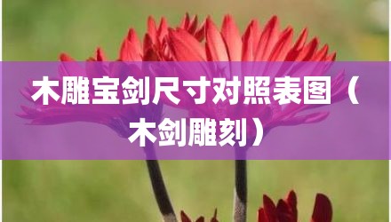木雕宝剑尺寸对照表图（木剑雕刻）