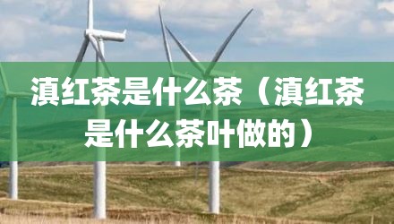 滇红茶是什么茶（滇红茶是什么茶叶做的）