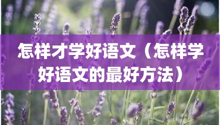 怎样才学好语文（怎样学好语文的最好方法）