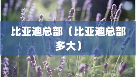 比亚迪总部（比亚迪总部多大）