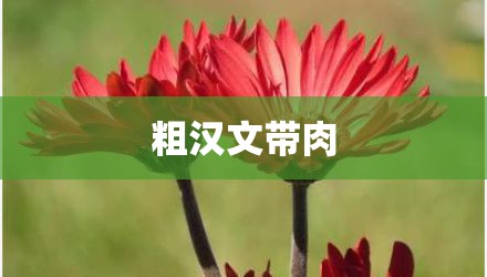 粗汉文带肉