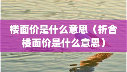 楼面价是什么意思（折合楼面价是什么意思）