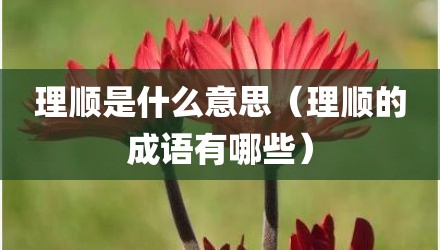 理顺是什么意思（理顺的成语有哪些）