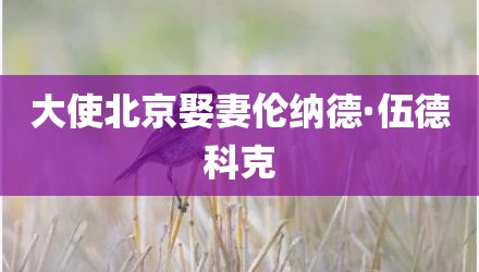 大使北京娶妻伦纳德·伍德科克