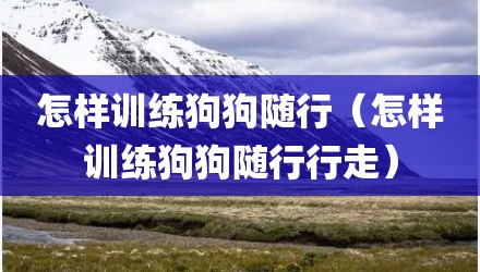 怎样训练狗狗随行（怎样训练狗狗随行行走）