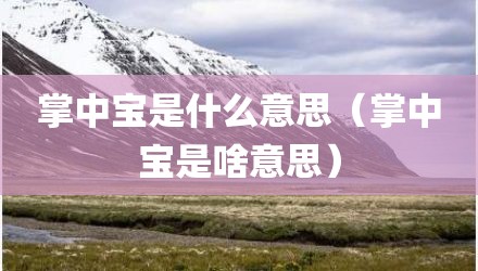 掌中宝是什么意思（掌中宝是啥意思）