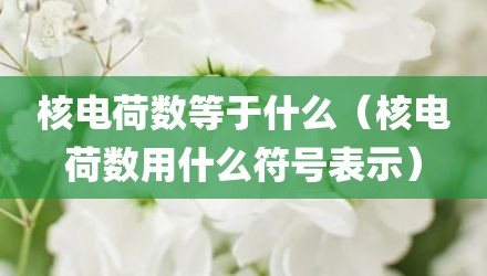 核电荷数等于什么（核电荷数用什么符号表示）