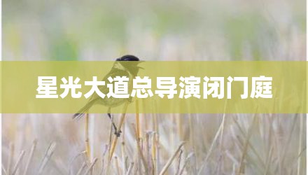 星光大道总导演闭门庭