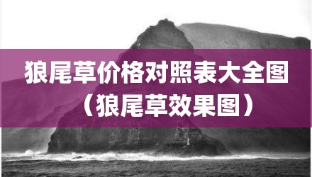 狼尾草价格对照表大全图（狼尾草效果图）
