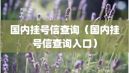 国内挂号信查询(国内挂号信查询入口)