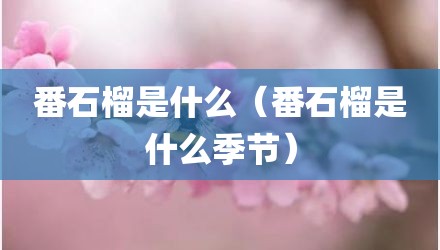 番石榴是什么（番石榴是什么季节）