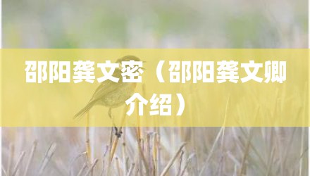 邵阳龚文密（邵阳龚文卿介绍）