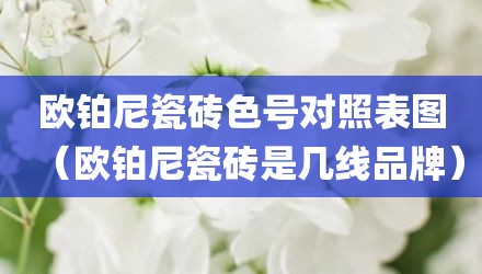 欧铂尼瓷砖色号对照表图（欧铂尼瓷砖是几线品牌）