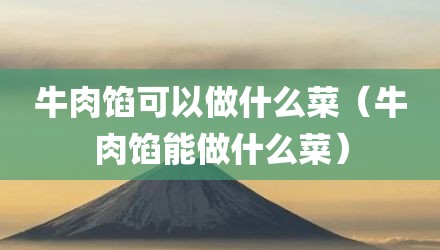 牛肉馅可以做什么菜（牛肉馅能做什么菜）