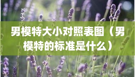 男模特大小对照表图（男模特的标准是什么）