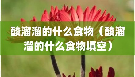 酸溜溜的什么食物（酸溜溜的什么食物填空）