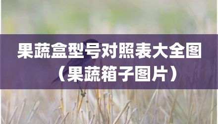 果蔬盒型号对照表大全图（果蔬箱子图片）