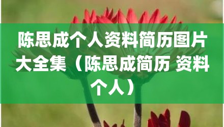 陈思成个人资料简历图片大全集(陈思成简历 资料个人)
