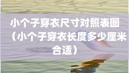 小个子穿衣尺寸对照表图（小个子穿衣长度多少厘米合适）