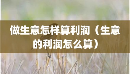 做生意怎样算利润（生意的利润怎么算）