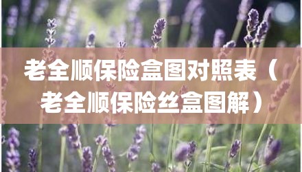 老全顺保险盒图对照表（老全顺保险丝盒图解）