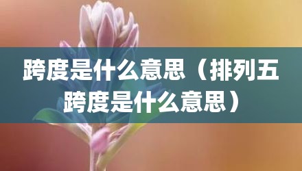 跨度是什么意思（排列五跨度是什么意思）