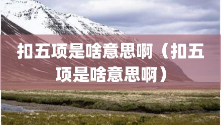 扣五项是啥意思啊(扣五项是啥意思啊)