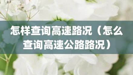 怎样查询高速路况（怎么查询高速公路路况）