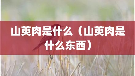 山萸肉是什么（山萸肉是什么东西）