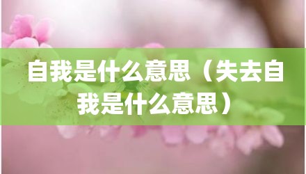 自我是什么意思（失去自我是什么意思）