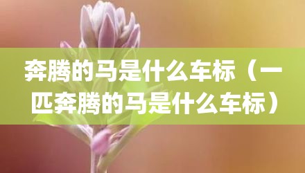 奔腾的马是什么车标（一匹奔腾的马是什么车标）